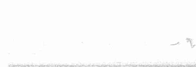 Common Redstart - ML617864732