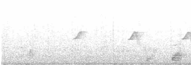 Black-crowned Night Heron - ML617867905