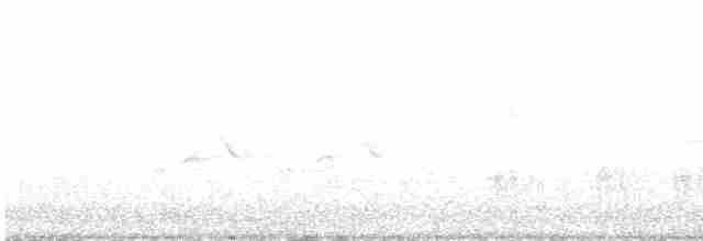 Klappergrasmücke - ML617868523
