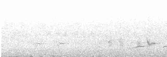 Mönchsgrasmücke - ML617868640