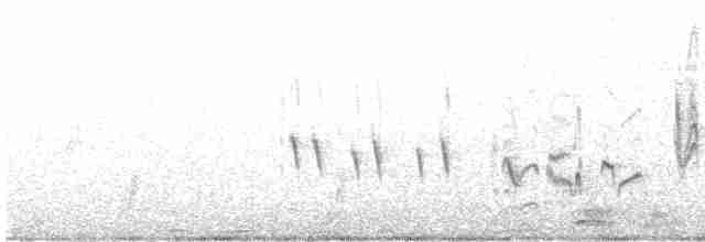Klappergrasmücke - ML617869157