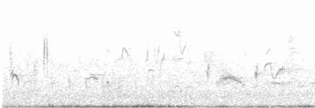 Klappergrasmücke - ML617870274