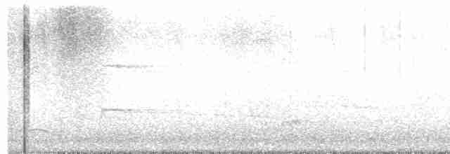Пересмішник сірий - ML617871330