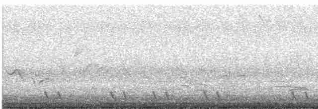 Red-necked Nightjar - ML617871990