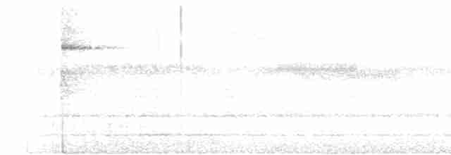 Синеголовая веерохвостка - ML617873762
