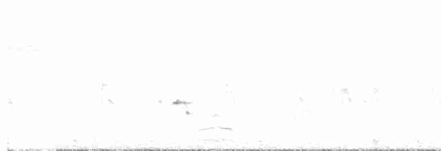Пятнистый веретенник - ML617874455