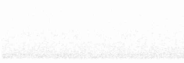 Münzevi Bülbül Ardıcı (faxoni/crymophilus) - ML617875204