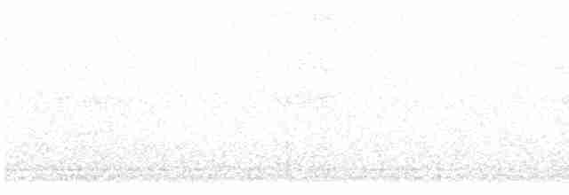 Дрізд-короткодзьоб плямистоволий (підвид faxoni/crymophilus) - ML617875511