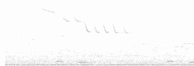 Common Cuckoo - ML617875791