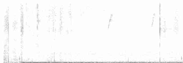 Paruline à croupion jaune (coronata) - ML617876041