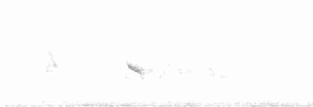 Evening Grosbeak (type 1) - ML617876083