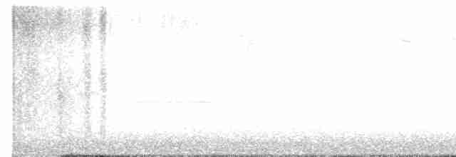 Золотомушка світлоброва - ML617876131