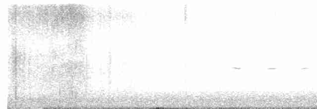 גיבתונית רוננת - ML617876135