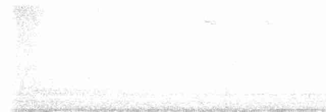 Белогорлая зонотрихия - ML617876733