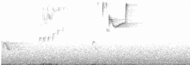 Brown-headed Cowbird - ML617877825