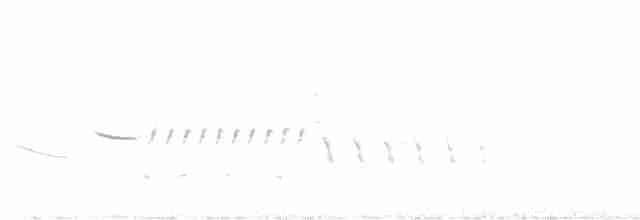 leskot modrošedý - ML617878815