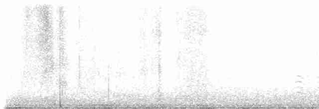 Weißbrustkleiber (carolinensis) - ML617879439