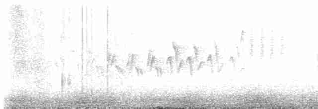 キヅタアメリカムシクイ（coronata） - ML617879467