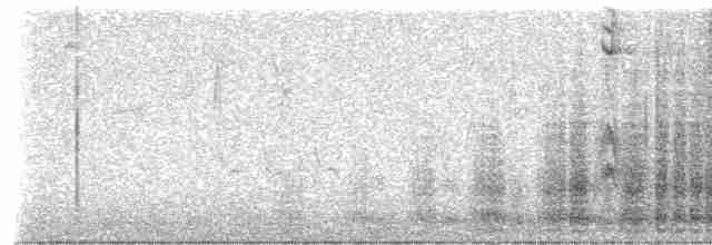 Ortalide de Wagler - ML617880516