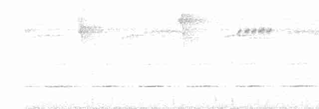 Kara Tepeli Yerçavuşu - ML617881524