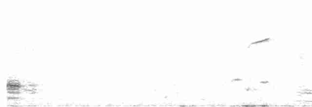 Белокрылый гонолек - ML617881588