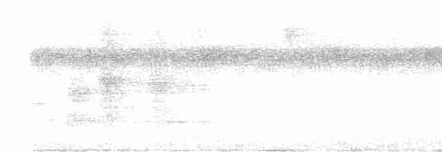 Atlantik Karınca Tiranı - ML617881757