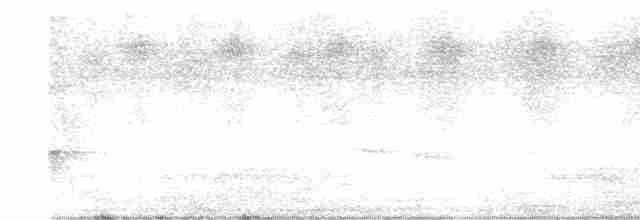 Жемчужнобрюхий дятел - ML617881809