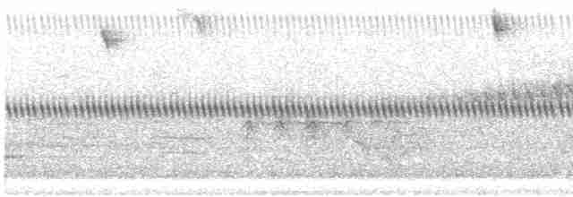 Oriole des vergers - ML617881964