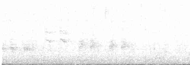 Great Reed Warbler - ML617883353