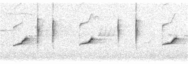 Common Redstart (Common) - ML61788481