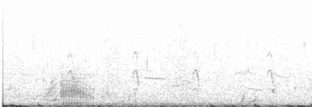 疣鼻天鵝 - ML617884988