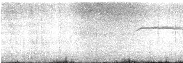 alkoun holubí - ML617885630