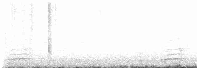 Тауї плямистий - ML617886799