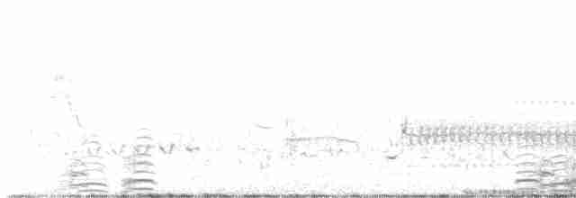 Cisne Trompetero - ML617887917