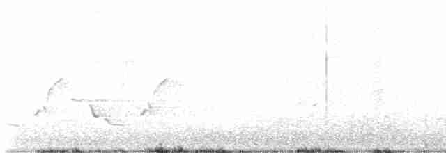 Karolina Çıtkuşu - ML617890140