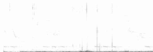 Black-billed Cuckoo - ML617893022