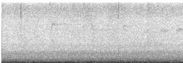 alkoun holubí - ML617895982