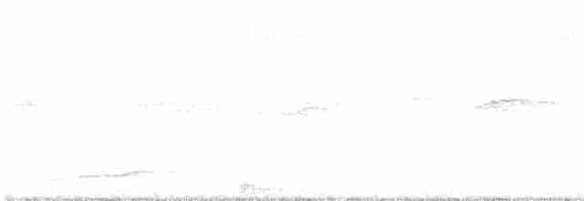 Bändernachtschwalbe - ML617896051