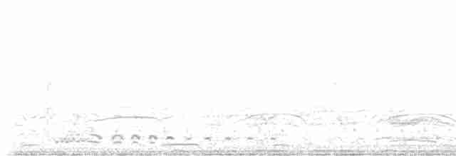 storpræriejerpe - ML617896933