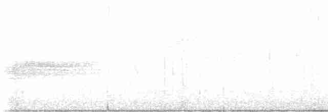 Turuncu Ardıç - ML617897264