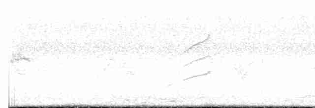 Graumantel-Brillenvogel - ML617897783