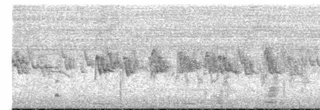 Graumantel-Brillenvogel - ML617897786