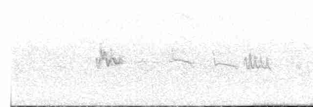 Zostérops à dos gris - ML617897787