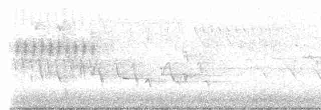 Юнко сірий [група oreganus] - ML617897820