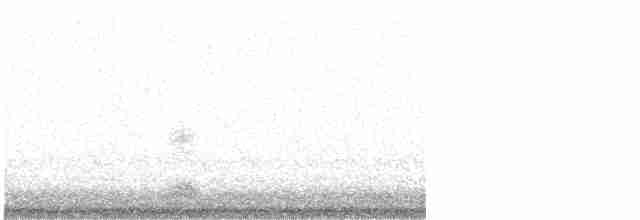 Black-crowned Night Heron - ML617898233
