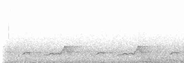 Schwarzkehl-Nachtschwalbe - ML617898260