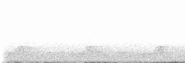 Schwarzkehl-Nachtschwalbe - ML617898261
