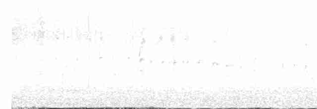 rorýs bělohrdlý - ML617898993