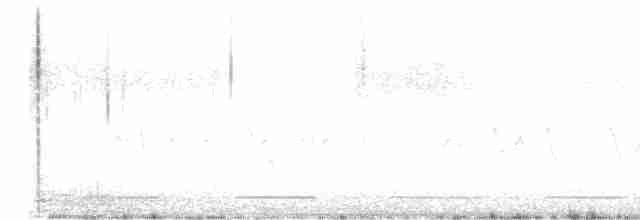 Шишкар ялиновий - ML617899140