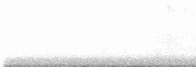 גיבתונית לבנת-גרון - ML617899726